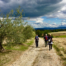 La Via del Trasimeno quarta tappa